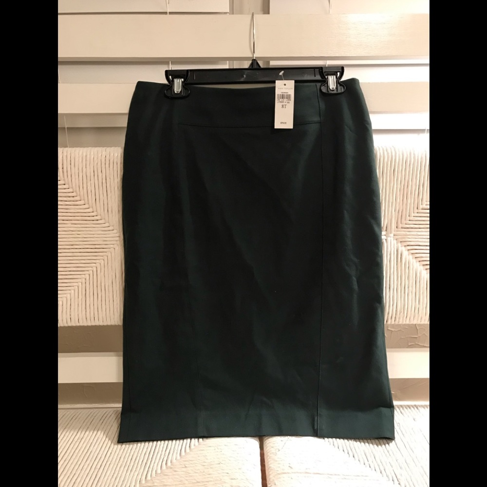 Ann Taylor Pencil Skirt